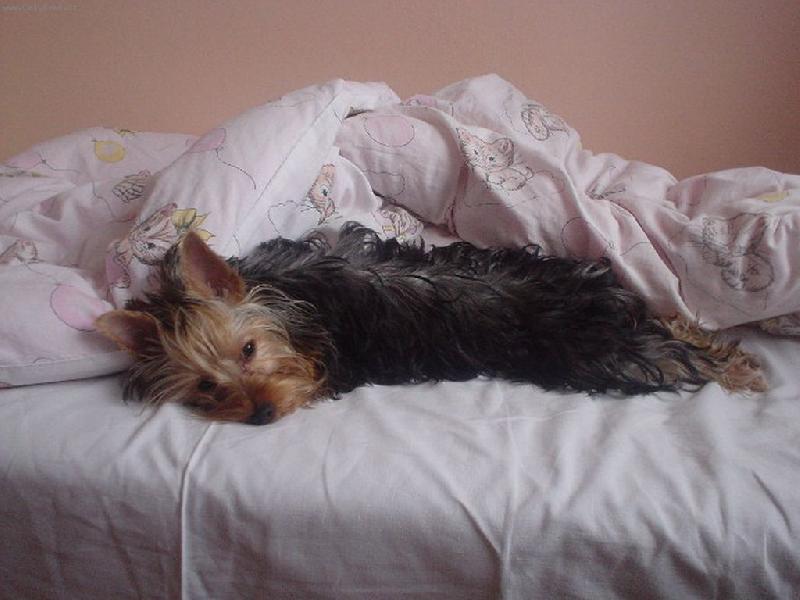 Foto: Nela-Nelinka odpo��v�.