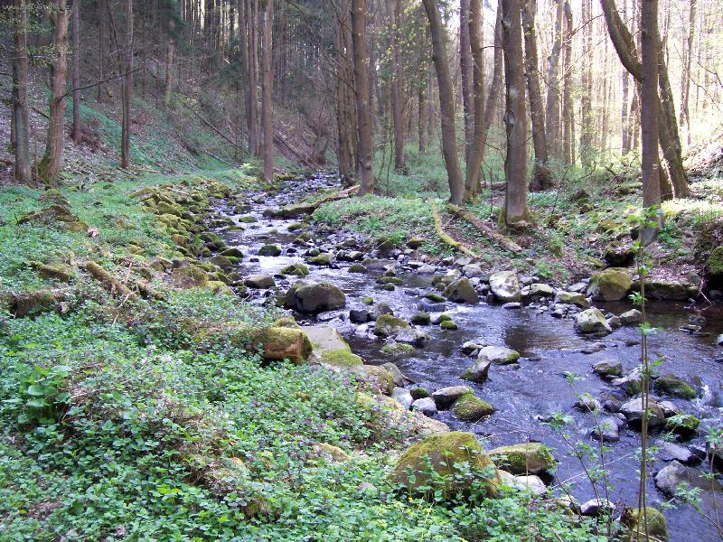 Foto: Bob�� sout�ska-Bob�� potok