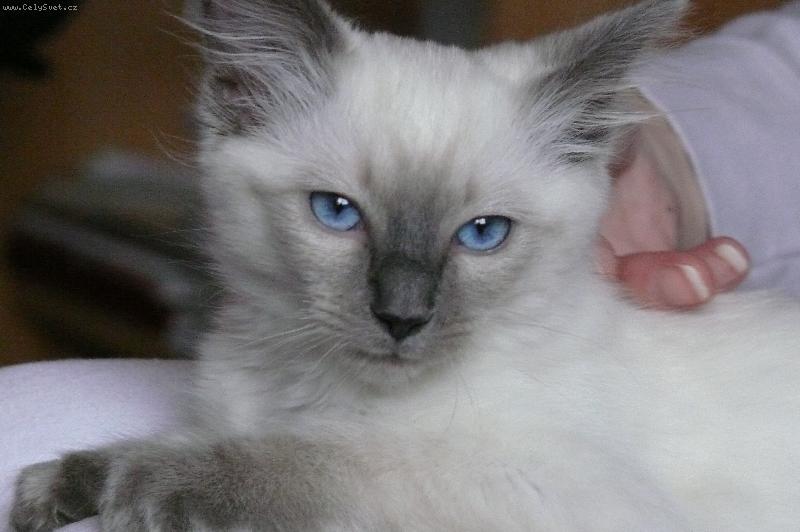 Foto: Beru�ka-Beru�ka