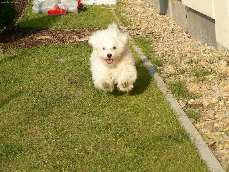 Foto: B��c� Mat�sek