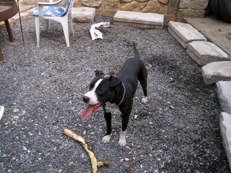 Foto: Odin-Tady Hl�dam  J�