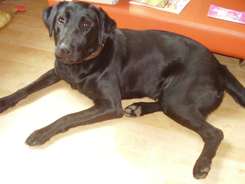 Foto: Jessie-m�j mil��ek