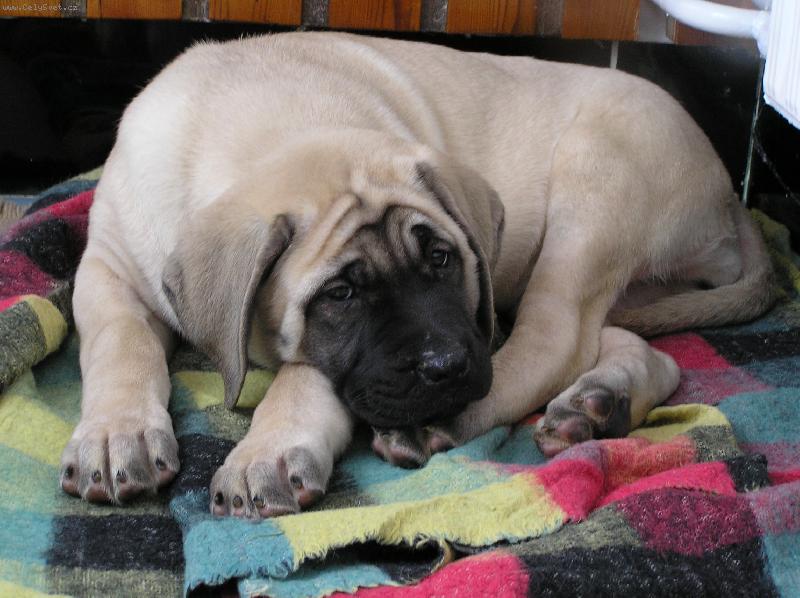 Foto: ... v nov�m domov�...