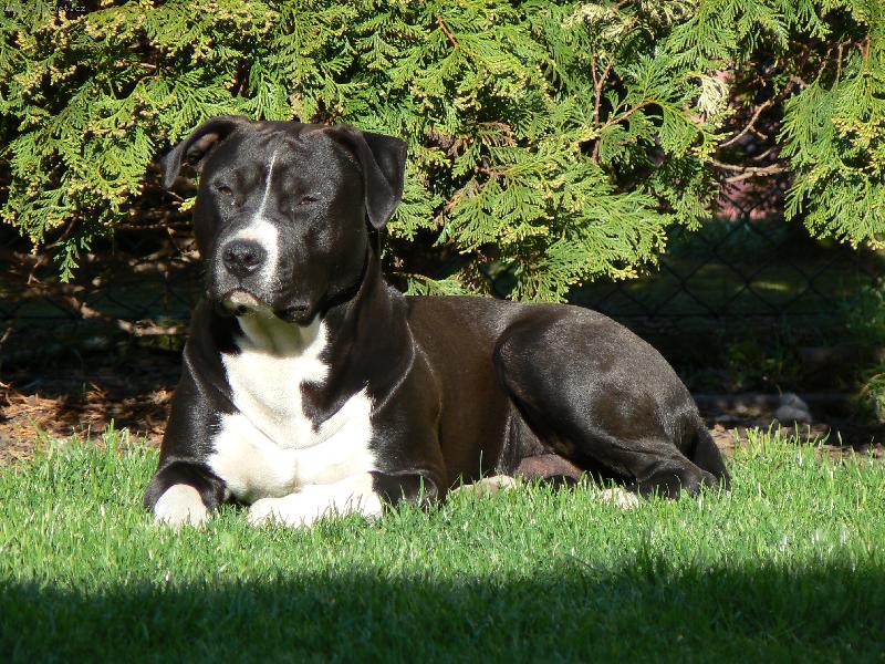 Foto: ARNY 8.M�S�C�