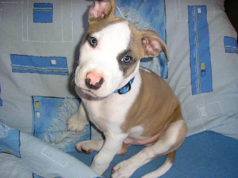 Foto: bruce-tady je nejl�p