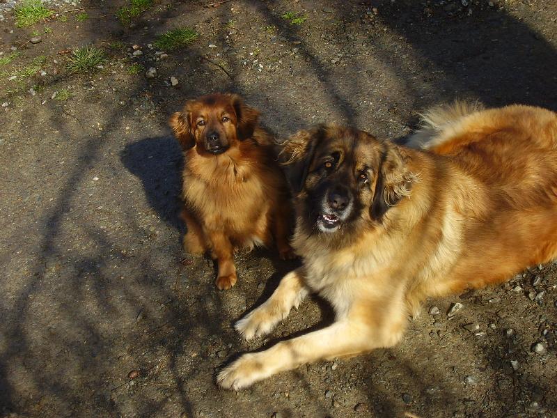 Foto: Ketynka s Bob��kem