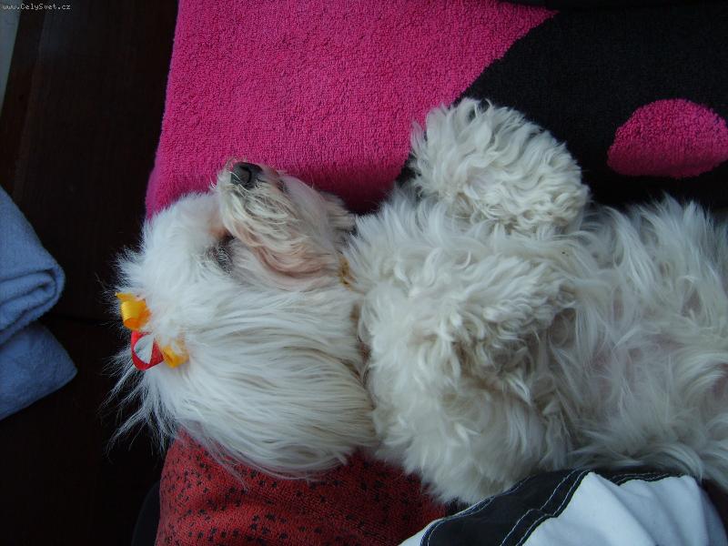 Foto: Haj����������