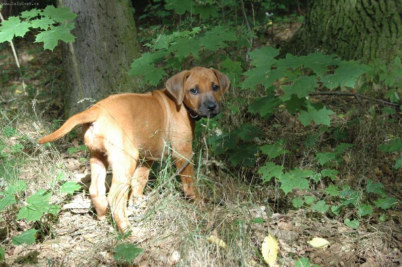 Foto: mam tam jit...-mam tam jit..