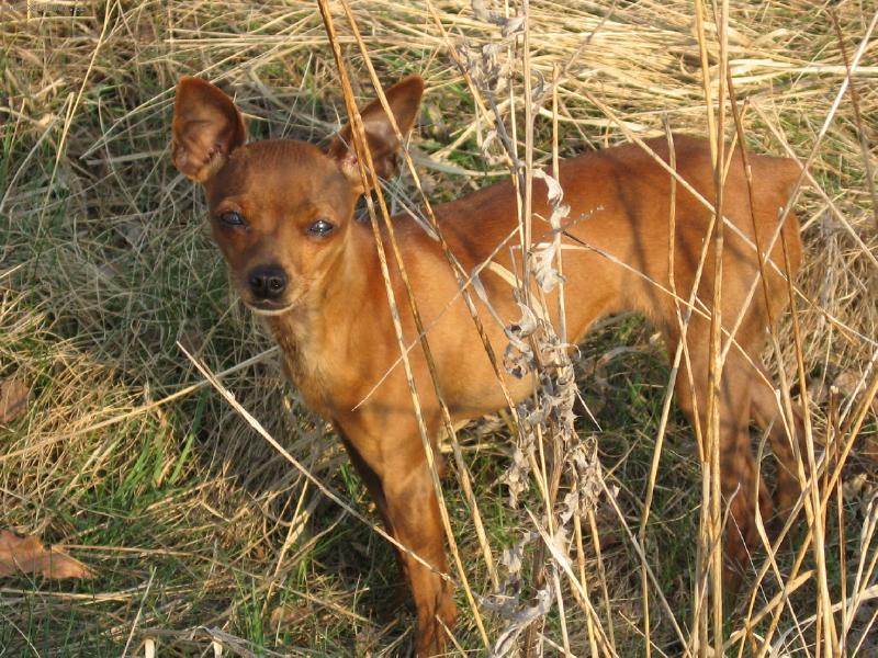 Foto: Laky-Laky p�i z�padu slunce