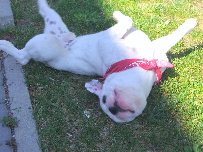 Foto: V�len� v tr�v�-To m� bav� :-)