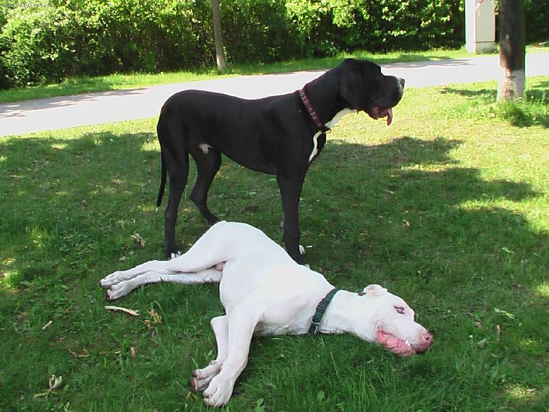 Foto: Claude Quincy Etc.