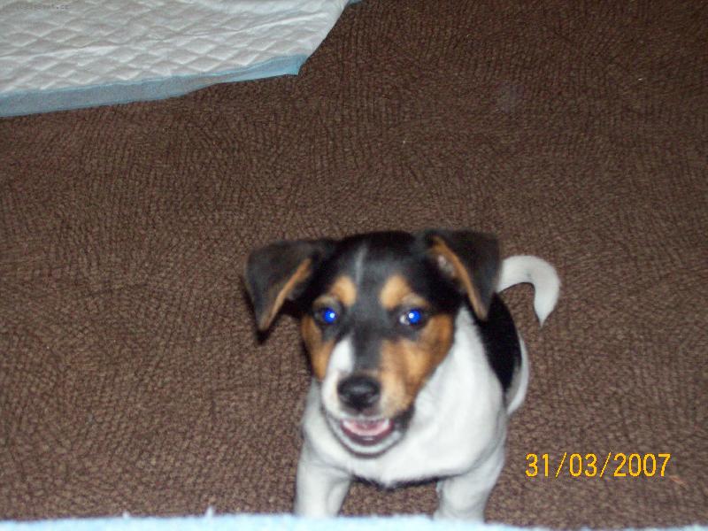 Foto: na�e �t�n�-EBI-poj� si hr�t....