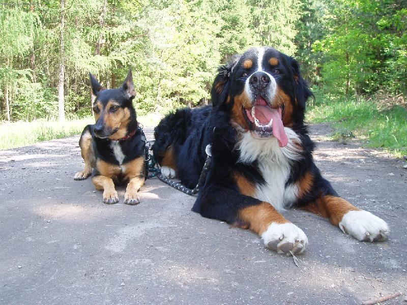 Foto: Pani�ky miminka