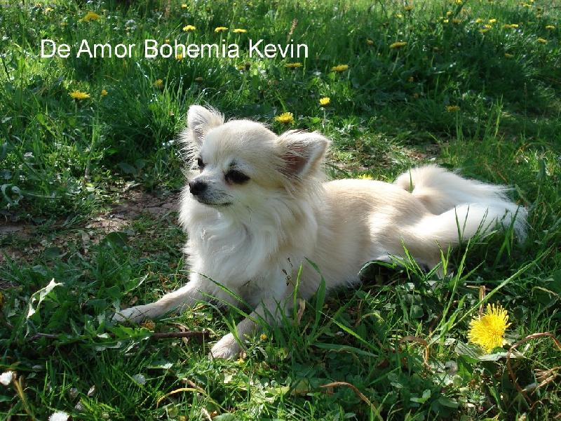 Foto: Dorina-Duben 2007