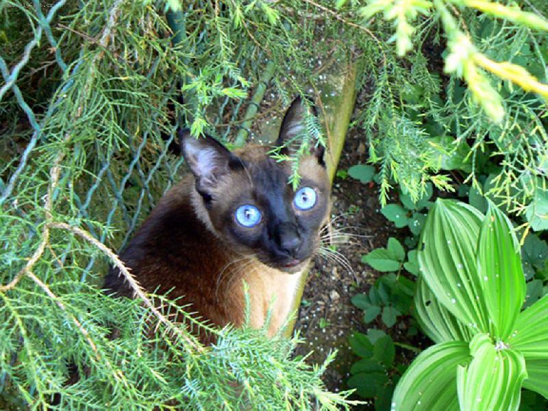 Foto: Filipek na chate