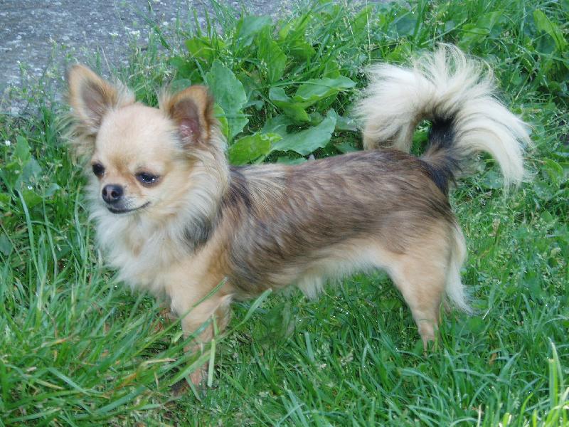 Foto: Beyla Svinovsk� pahorek