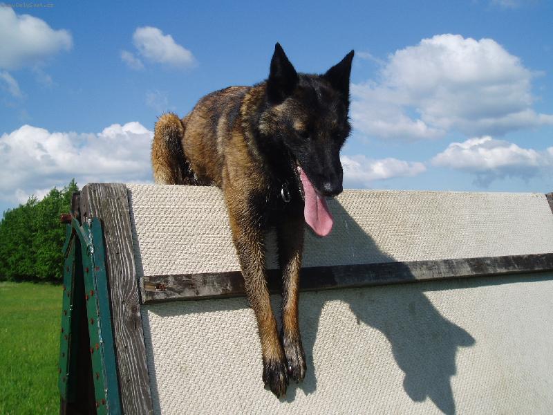 Foto: Arka Ostr� Lagar