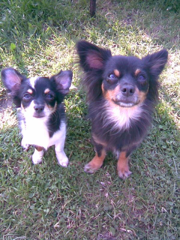 Foto: Abbinka a Bessinka