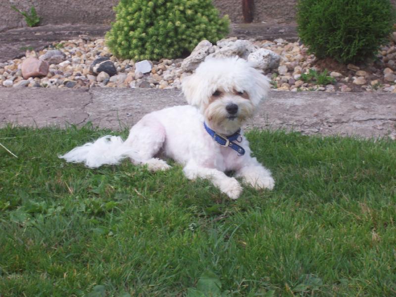 Foto: Tim s nov�m z�st�ihem