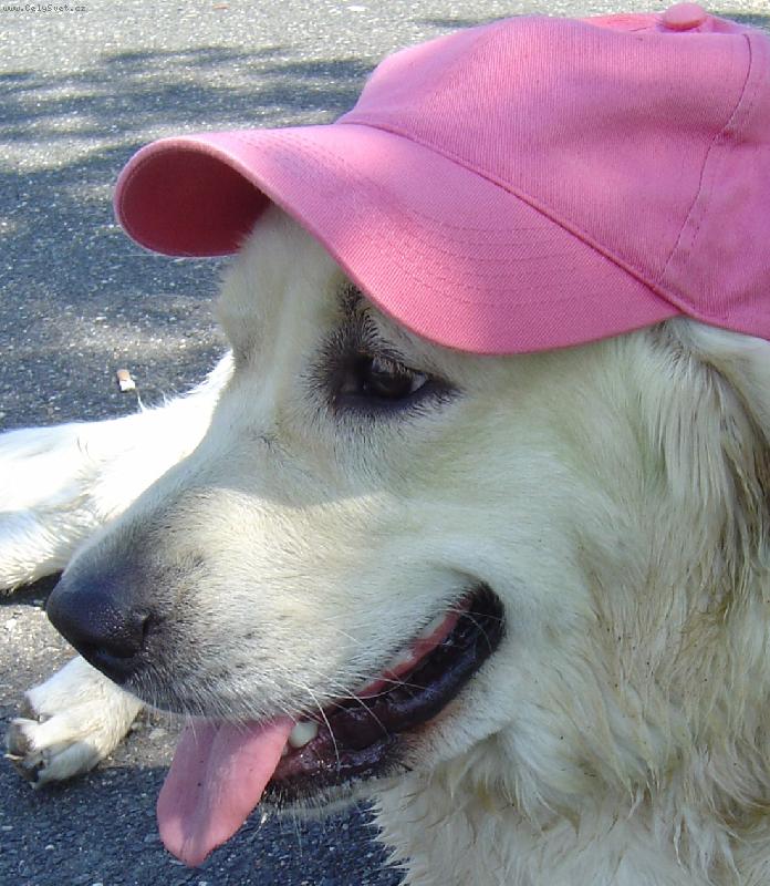 Foto: Bronwynka s k�iltovkou-Bronwyn de Bismill�hi ;))