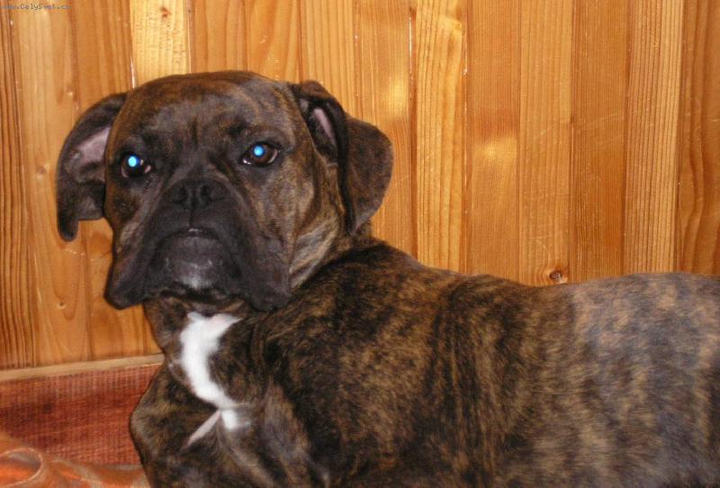 Foto: Muf-Muf odpo��v�