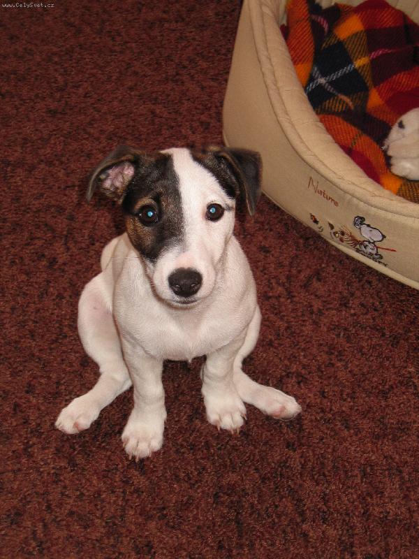 Foto: Annie d�l� �abi�ku