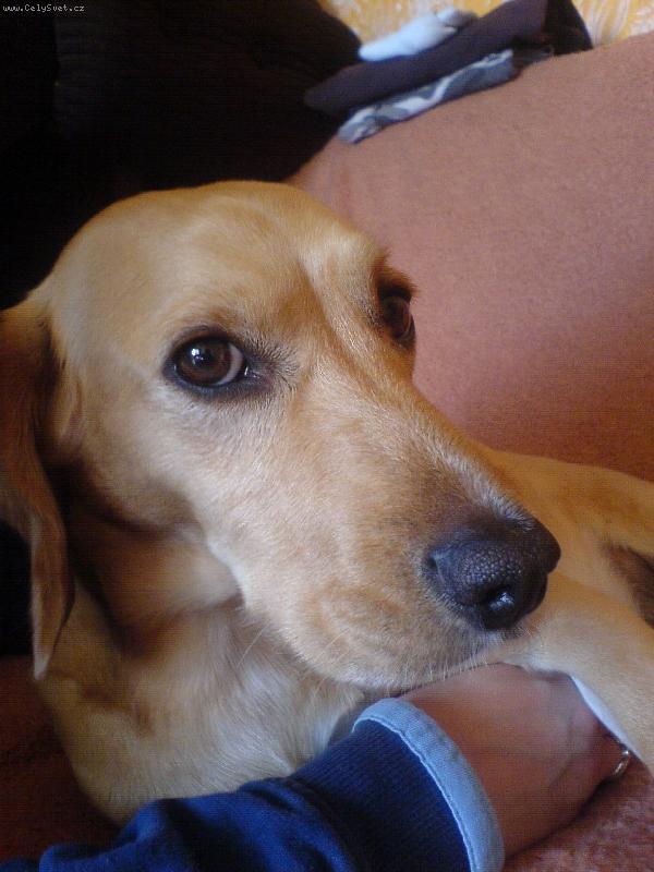 Foto: Kevinek-k��enec