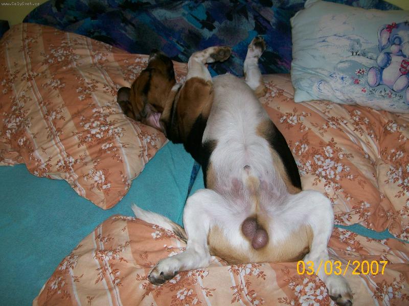 Foto: Rocky-Moje obl�ben� poloha