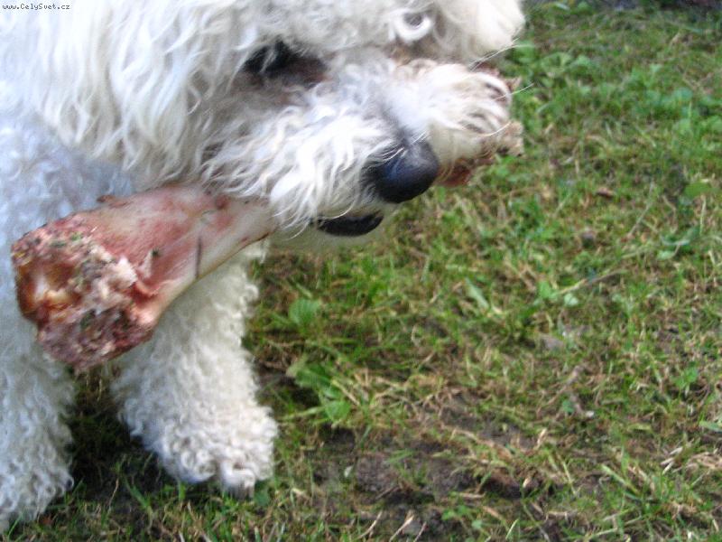 Foto: SISI-Sk�ste mi to vzia�...