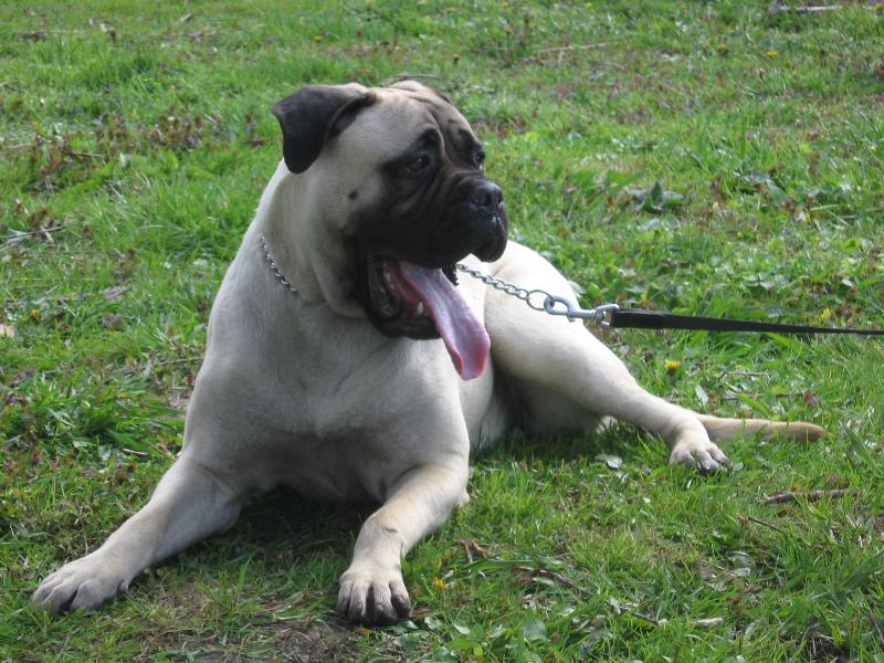 Foto: Doris Kissbull