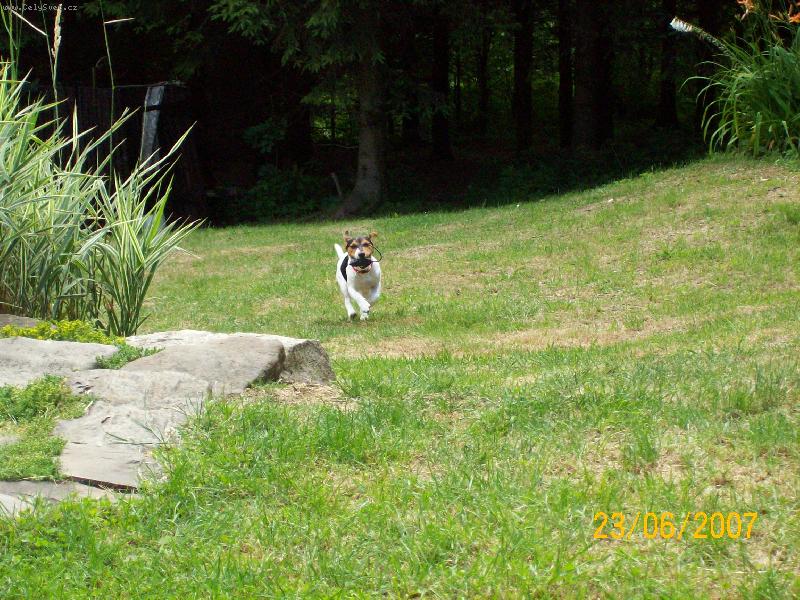 Foto: lov my�i-dones....