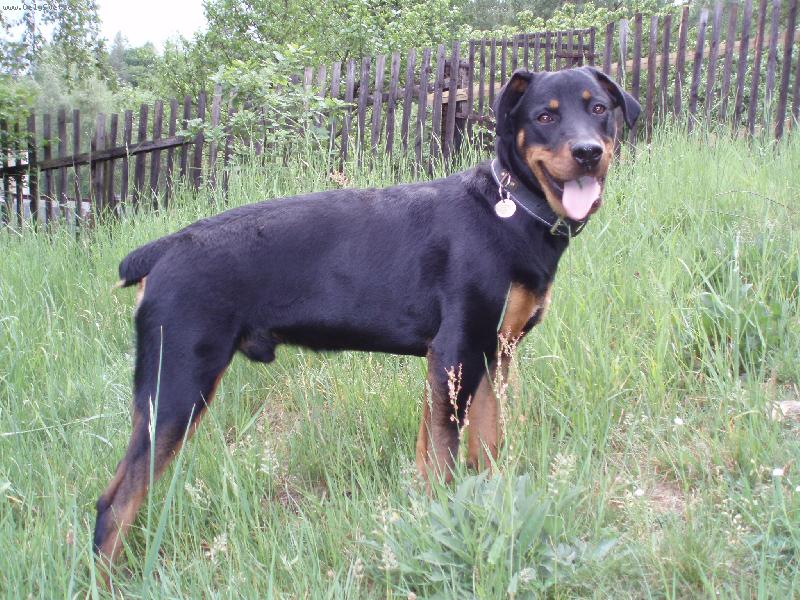 Foto: Roxy-7 m�s�c�