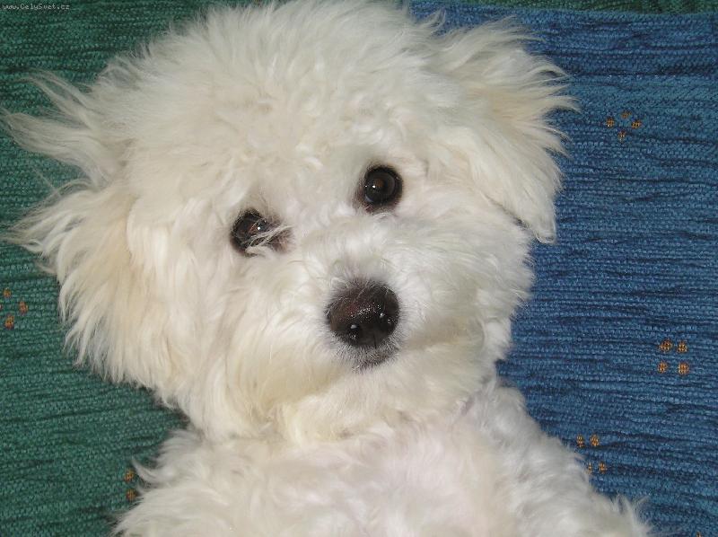 Foto: Damianek-Damianek 6 m�s�c�