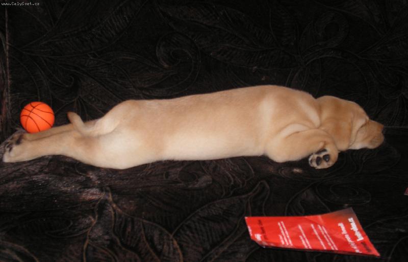 Foto: Odpo�inek-:)