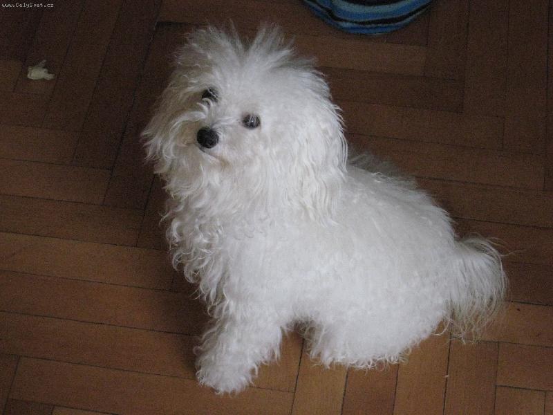 Foto: BethanyI-14-ti m�s��n�