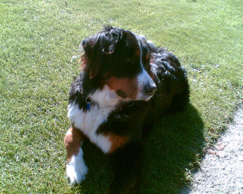 Foto: to je na�e Cessy