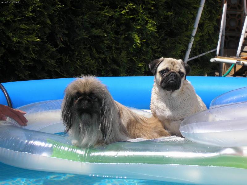 Foto: Ebinka a Ayminka na leh�tku