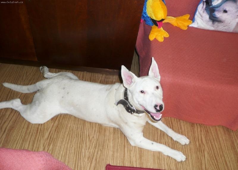 Foto: �sm�v-Danny