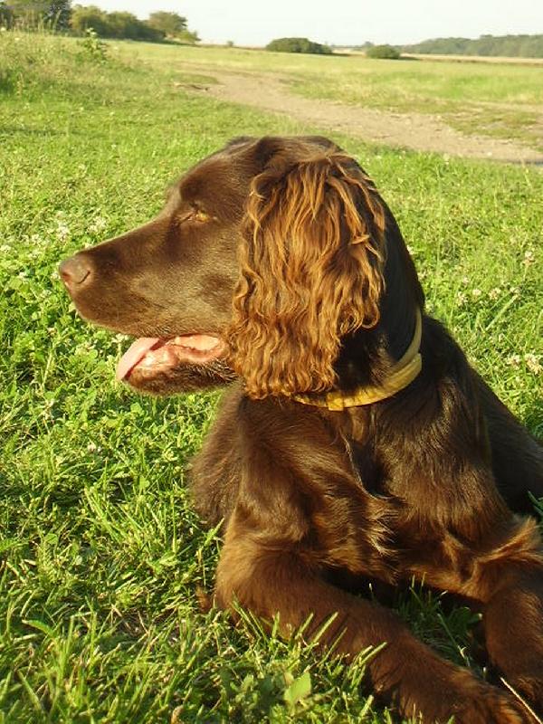 Foto: 4 m�s�ce-Jsem je�t� mal�, ale j� v�s do�enu :-)