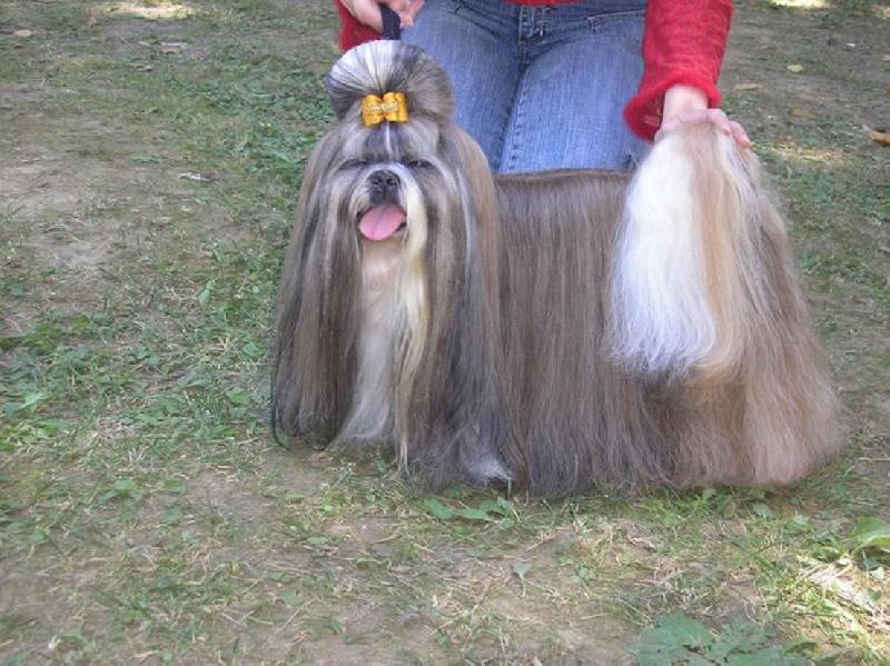 Foto: CH. Jeron Atrei