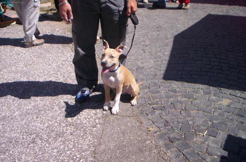 Foto: arny s p�n��kem-arny s p�n��kem