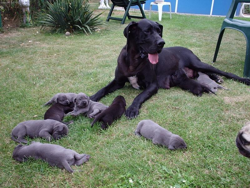 Foto: �t���tka-�t���tka ve v�ku 12 dn�