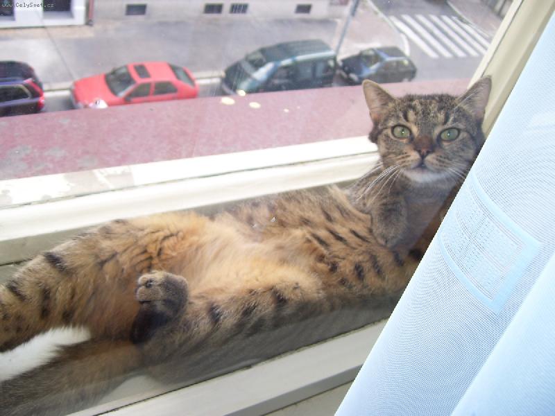 Foto: Ne�m�ruj, jo!?