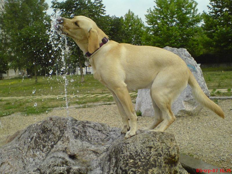 Foto: ��zen-Je�t� �e m� B�ra kde zahnat ��zen..