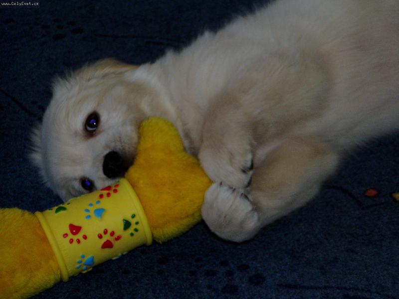 Foto: moje hra�ka...vrrrr