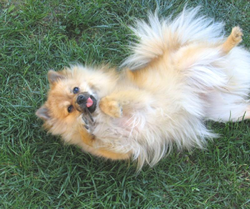 Foto: Cindy von Lip�