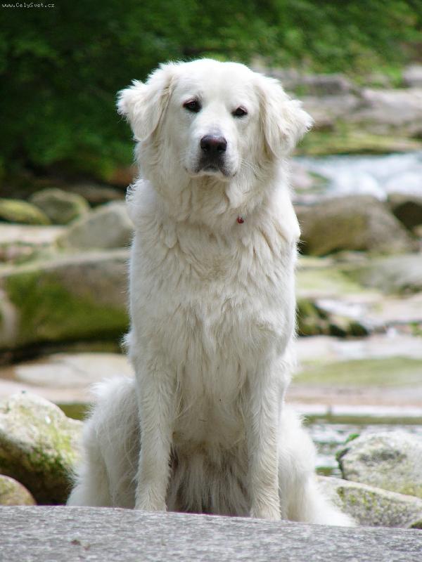 Foto: Dovolen� v Krkono��ch