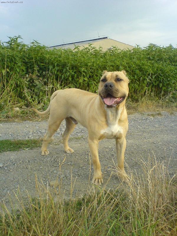 Foto: Rony 17 m�s�c�