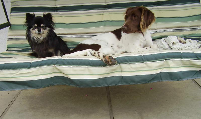 Foto: Sofij�nka a Timek