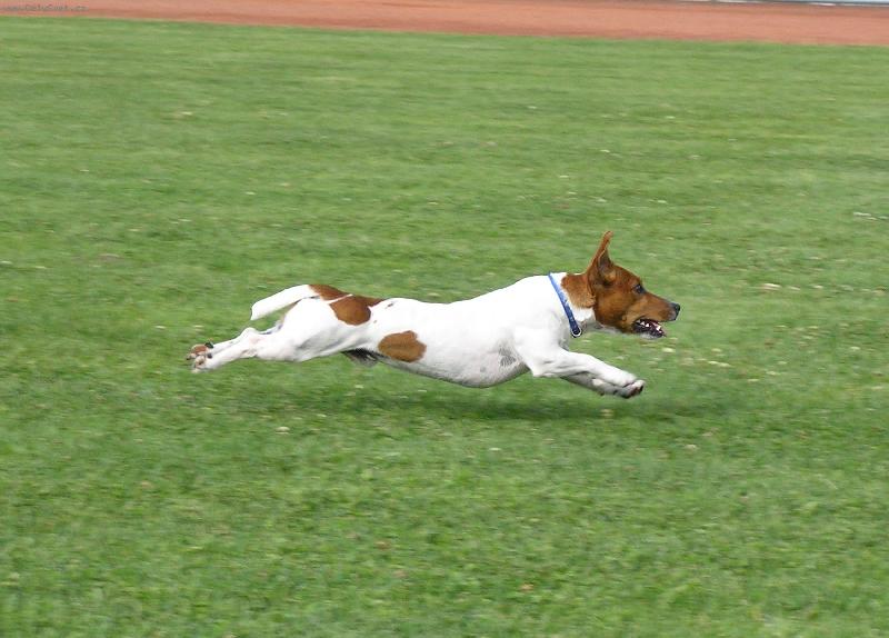 Foto: Bert�k-b�h